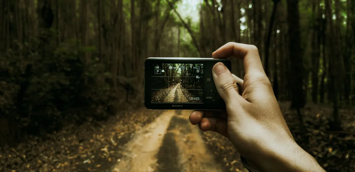 Five Common Mistakes When Using a Trail Camera at a Badger Sett