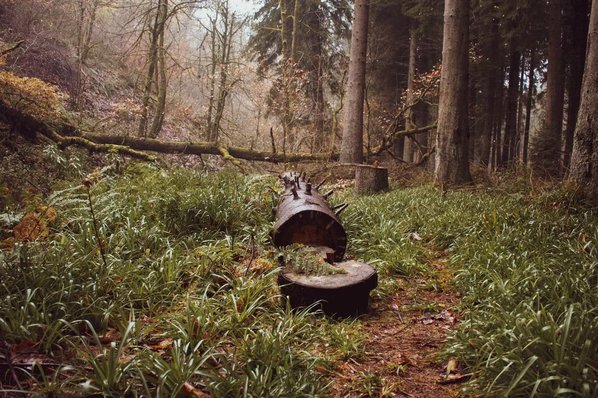 Monthly Badger Sett Monitoring Checklist for Conservation Volunteers